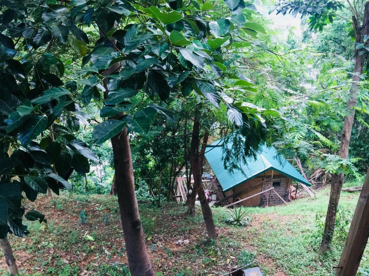 Camp Talusi Hilltop Overlooking El Nido Exterior foto