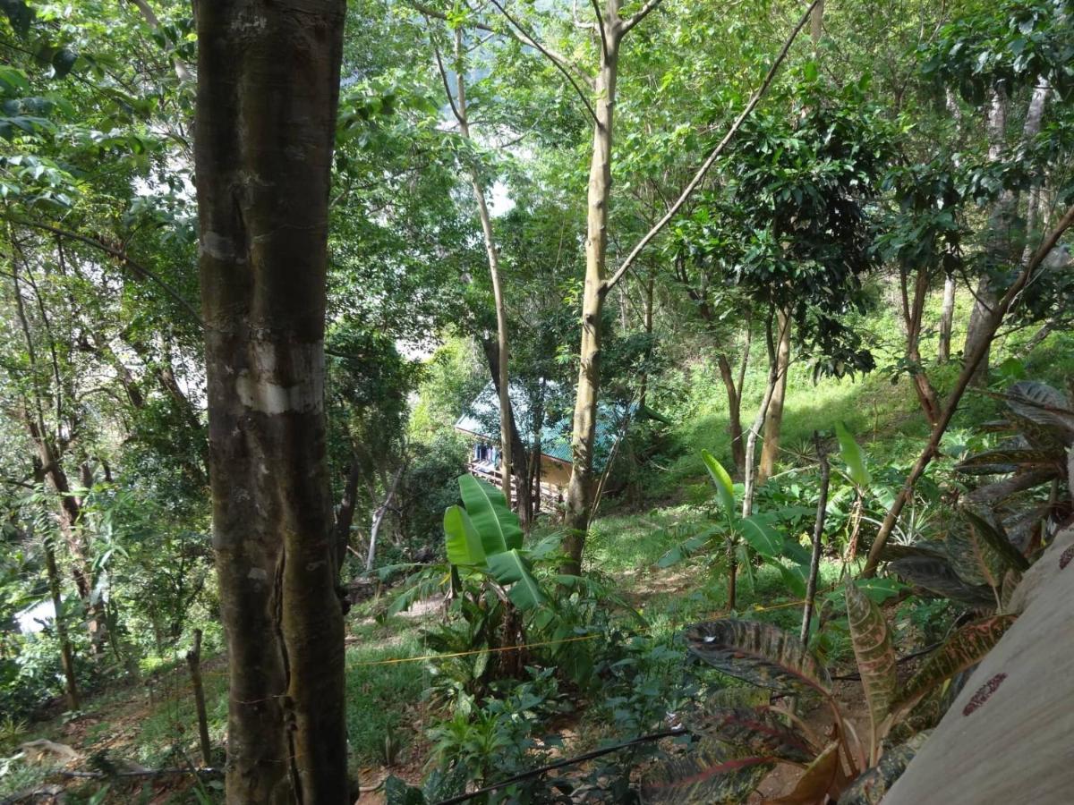 Camp Talusi Hilltop Overlooking El Nido Exterior foto